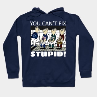 You Can't Fix Stupid (Cowboys) Hoodie